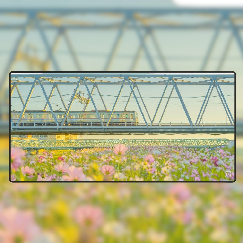 Train du Printemps
