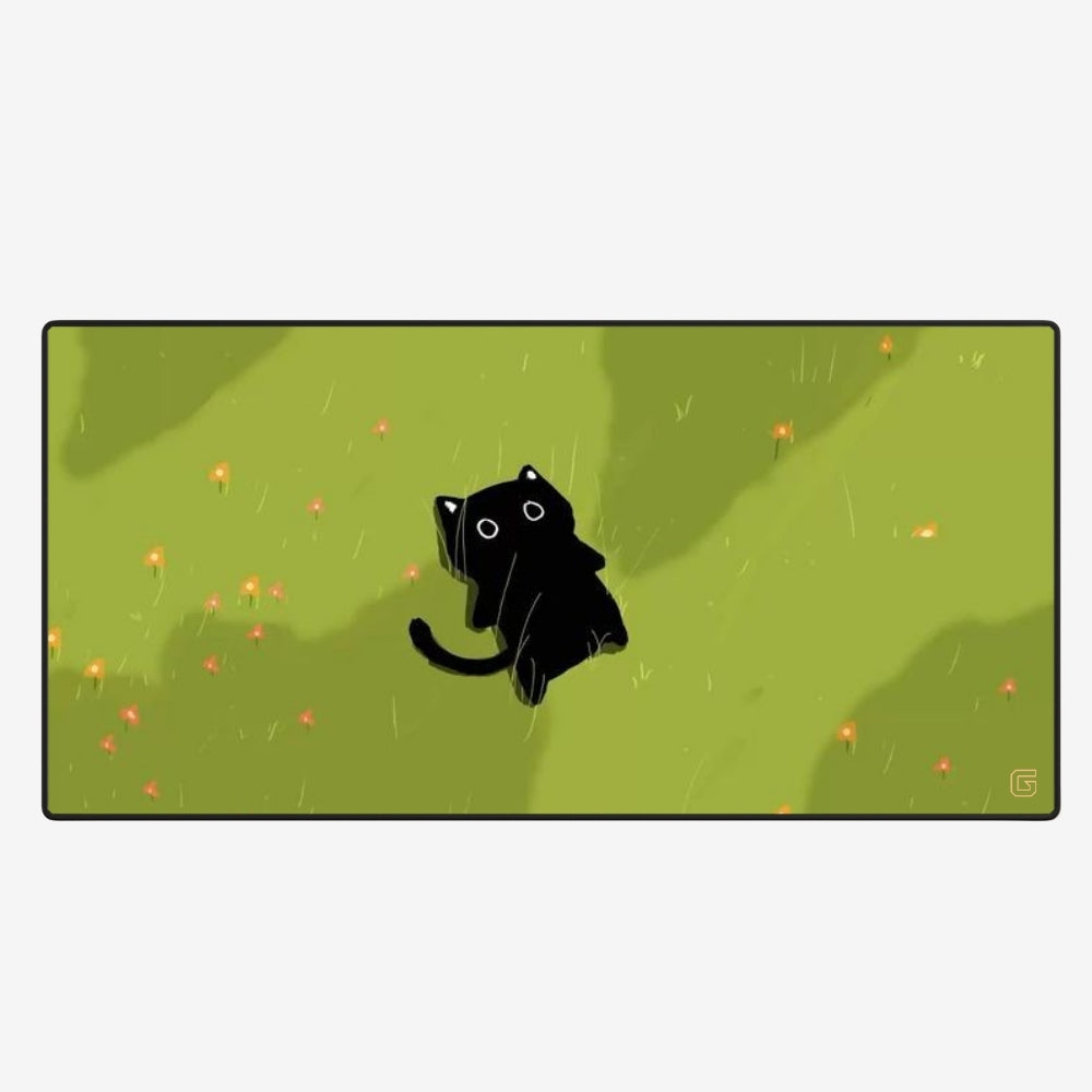 Miaou dans la prairie